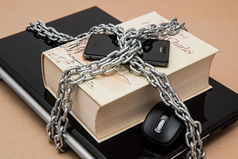 Guarded by Design: How Elite Companions Protect Client Privacy in a Hyper-Connected World